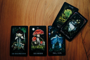 Midnight Magic | A Tarot Deck of Mushrooms