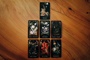 Midnight Magic | A Tarot Deck of Mushrooms